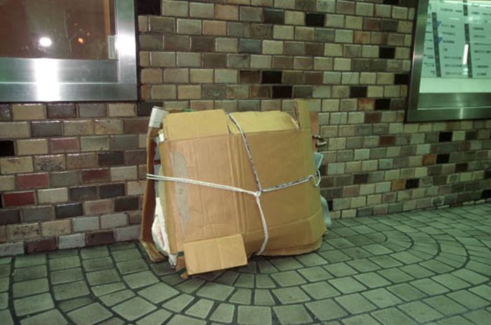 See What It's Like To Live In A Box (21 pics)
