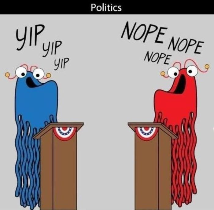 The Ugly Truth About Politics In Pictures (24 pics)