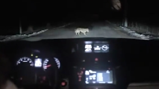 The Most Epic Car Hijack Of All Time