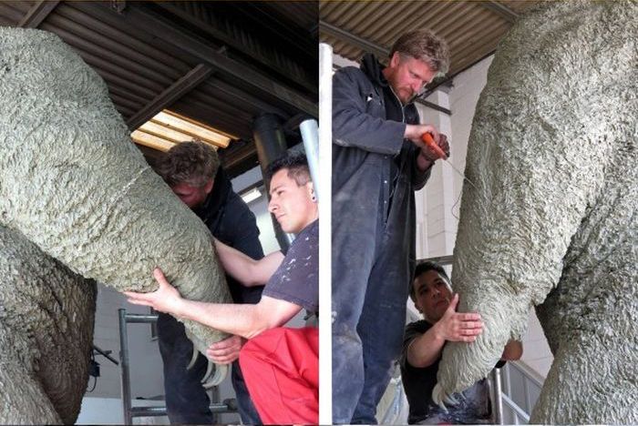 See How This Bronze Bear Is Brought To Life (37 pics)