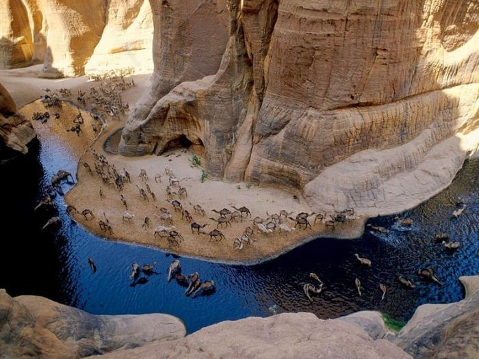 Amazing Wetlands In The Desert Of Chad (12 pics)