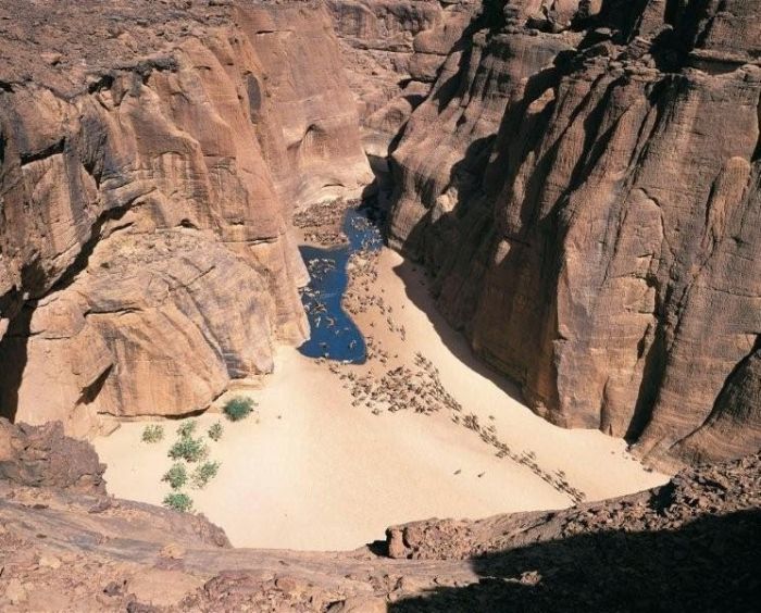 Amazing Wetlands In The Desert Of Chad (12 pics)