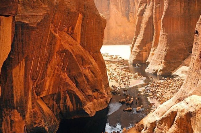 Amazing Wetlands In The Desert Of Chad (12 pics)