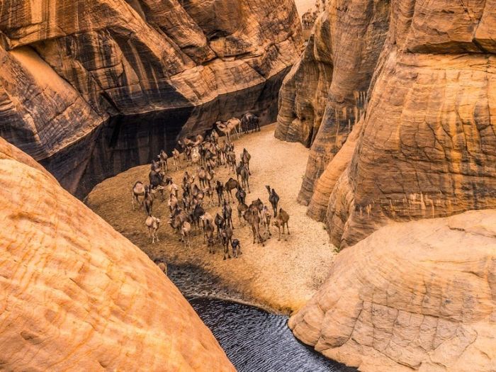 Amazing Wetlands In The Desert Of Chad (12 pics)