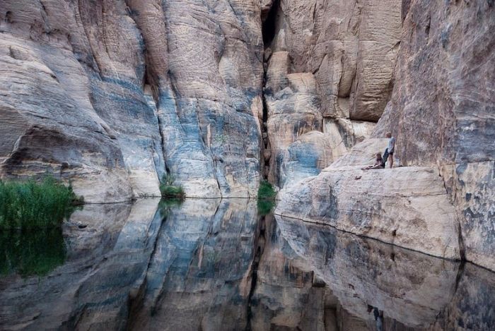 Amazing Wetlands In The Desert Of Chad (12 pics)