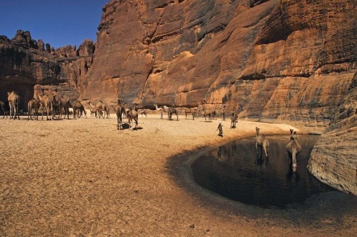 Amazing Wetlands In The Desert Of Chad (12 pics)