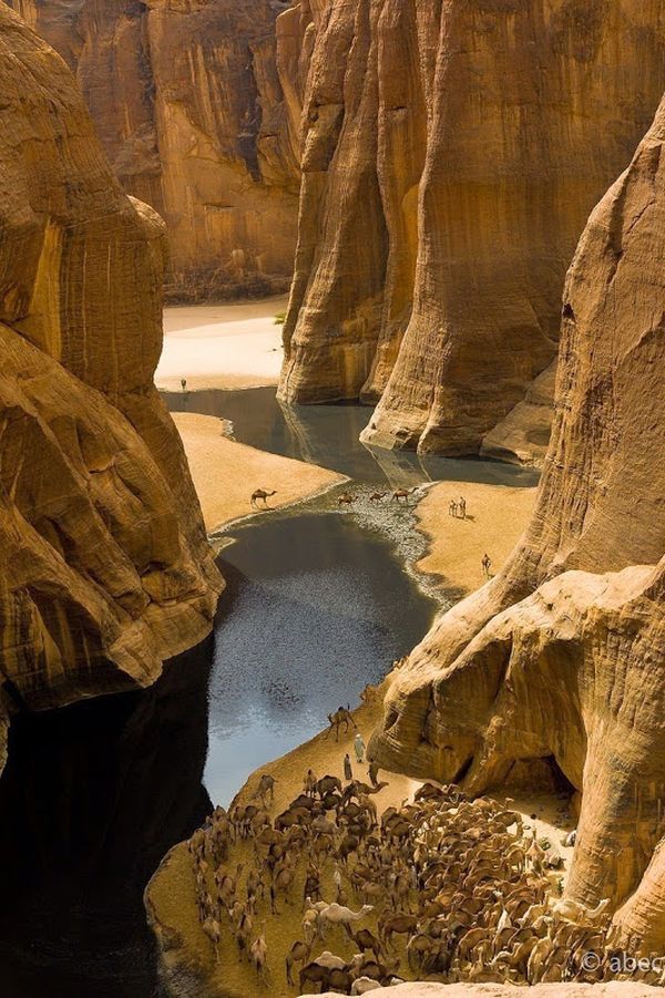 Amazing Wetlands In The Desert Of Chad 12 Pics