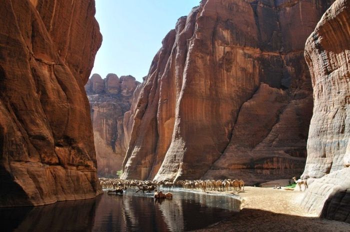 Amazing Wetlands In The Desert Of Chad (12 pics)