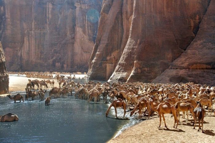 Amazing Wetlands In The Desert Of Chad (12 pics)