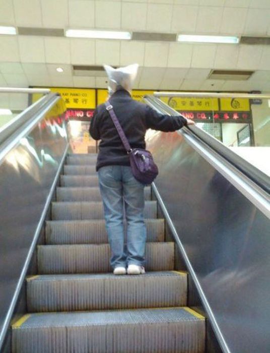 You Are Doing It Wrong. Part 18 (41 pics)