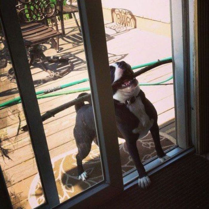 You Are Doing It Wrong. Part 18 (41 pics)