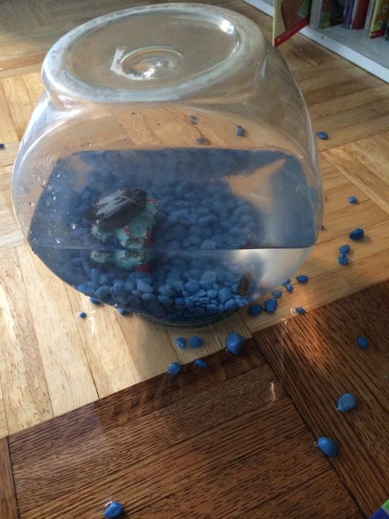 Acid Picdump (122 pics)