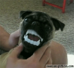 Acid Gifdump, April 29, 2014 (25 gifs)