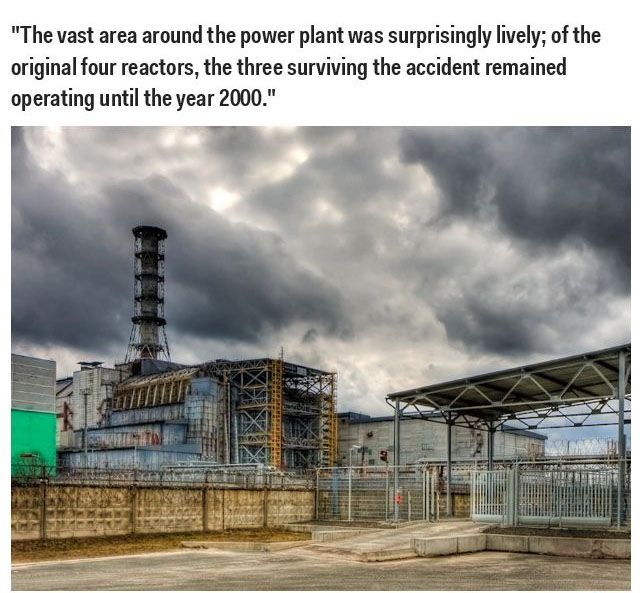 What Chernobyl Looks Like After The Nuclear Disaster (25 pics)