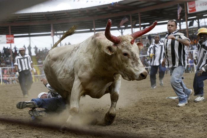 Extreme Action Shots From The Rodeo (20 pics)