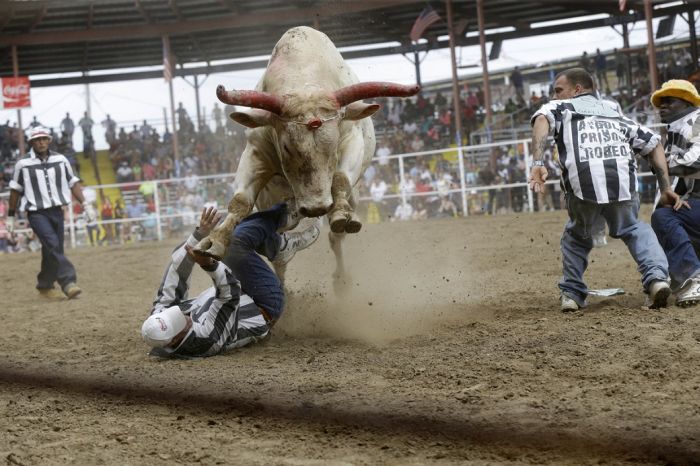 Extreme Action Shots From The Rodeo (20 pics)