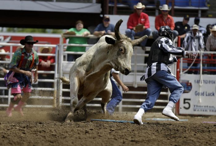 Extreme Action Shots From The Rodeo (20 pics)