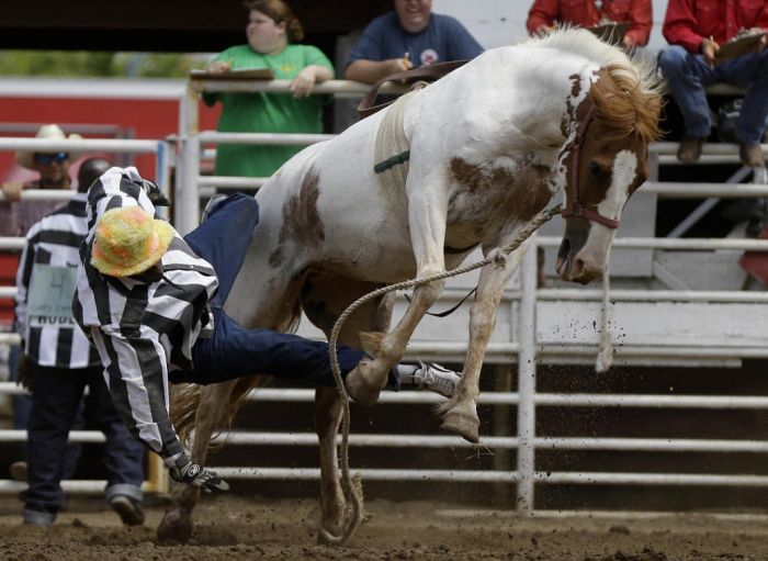 Extreme Action Shots From The Rodeo (20 pics)