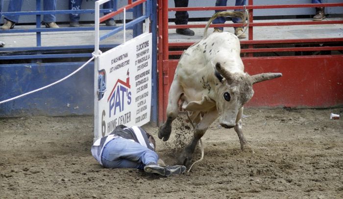 Extreme Action Shots From The Rodeo (20 pics)