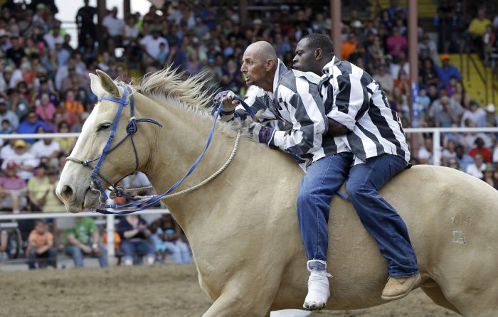 Extreme Action Shots From The Rodeo (20 pics)