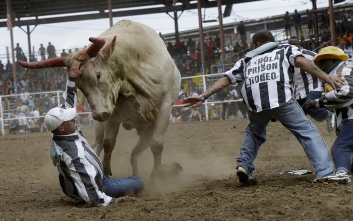 Extreme Action Shots From The Rodeo (20 pics)