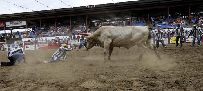 Extreme Action Shots From The Rodeo (20 pics)