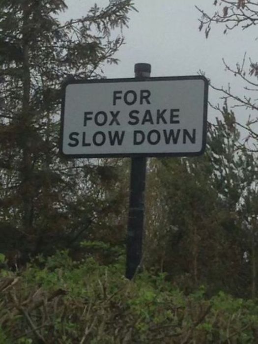 Oh I See What You Did There (40 pics)
