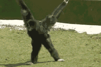 Did It Ever Happen to You When... Part 88 (16 gifs)