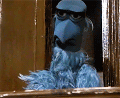 Did It Ever Happen to You When... Part 88 (16 gifs)