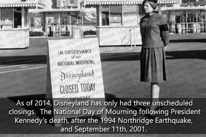 50 Things You Didn't Know About Disney Theme Parks (50 pics)