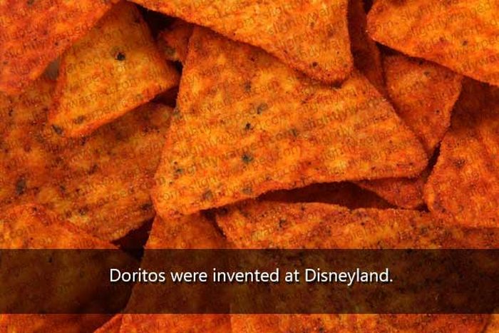 50 Things You Didn't Know About Disney Theme Parks (50 pics)