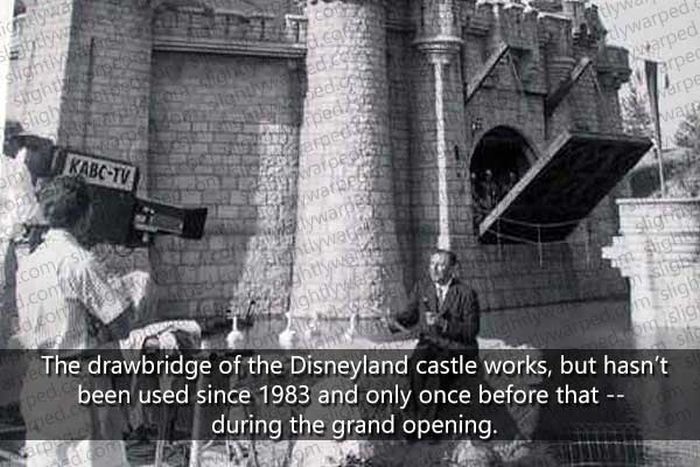 50 Things You Didn't Know About Disney Theme Parks (50 pics)