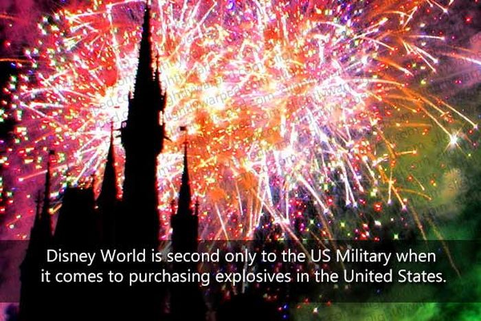 50 Things You Didn't Know About Disney Theme Parks (50 pics)