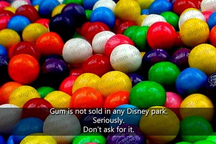 50 Things You Didn't Know About Disney Theme Parks (50 pics)