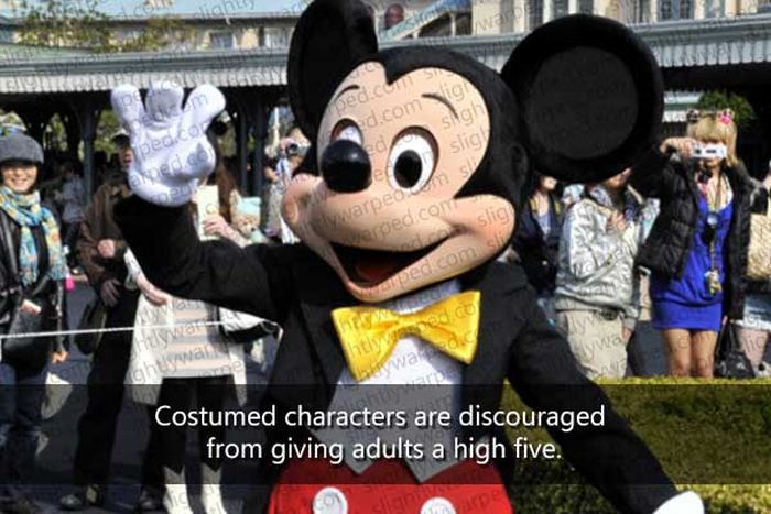 50 Things You Didn't Know About Disney Theme Parks (50 pics) Weird People At Disneyland
