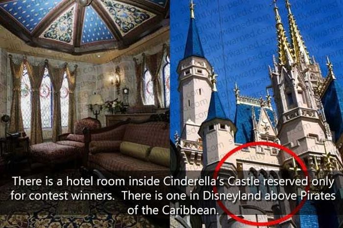 50 Things You Didn't Know About Disney Theme Parks (50 pics)