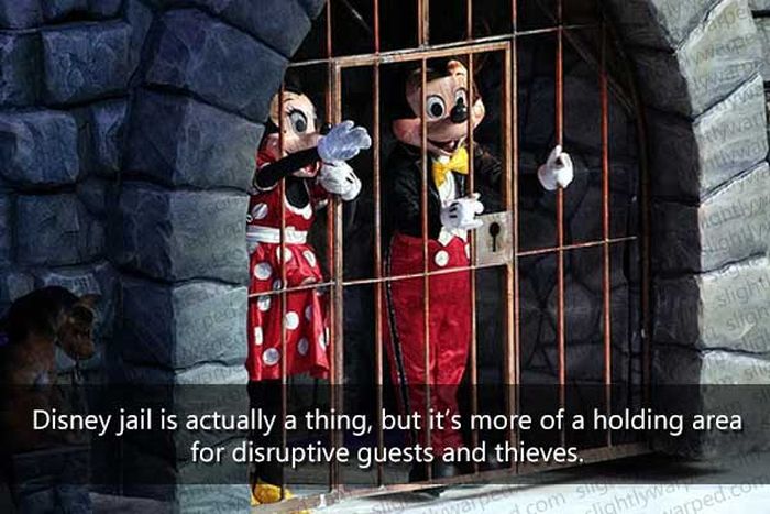 50 Things You Didn't Know About Disney Theme Parks (50 pics)