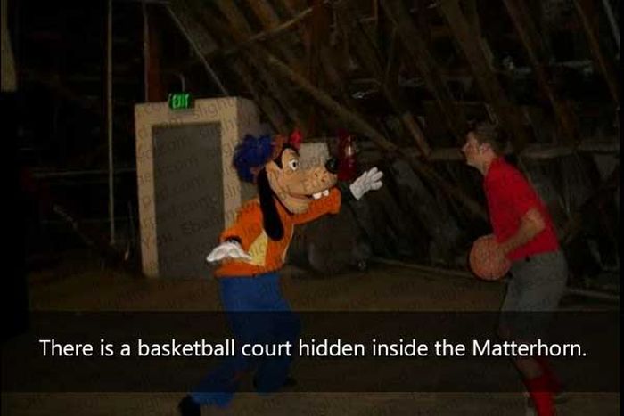 50 Things You Didn't Know About Disney Theme Parks (50 pics)