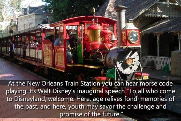 50 Things You Didn't Know About Disney Theme Parks (50 pics)
