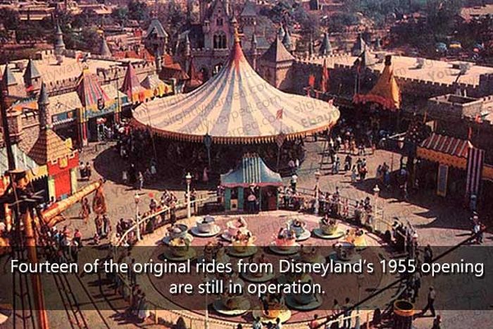 50 Things You Didn't Know About Disney Theme Parks (50 pics)
