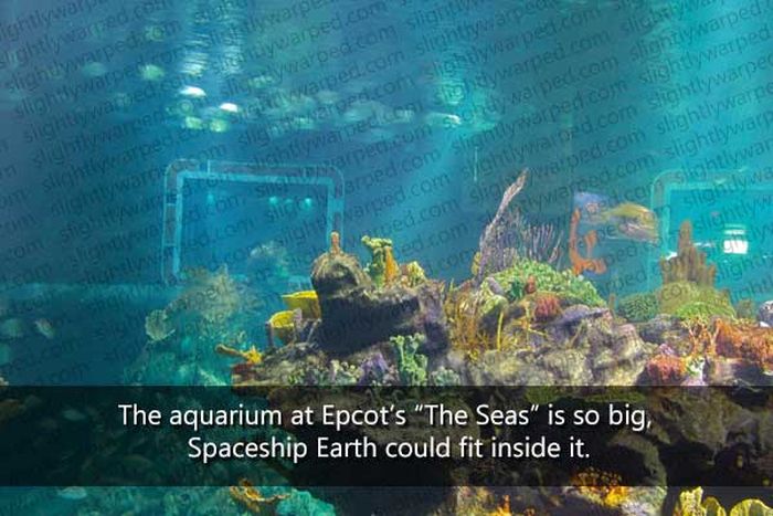 50 Things You Didn't Know About Disney Theme Parks (50 pics)