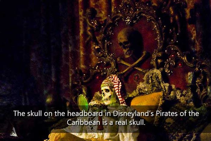 50 Things You Didn't Know About Disney Theme Parks (50 pics)