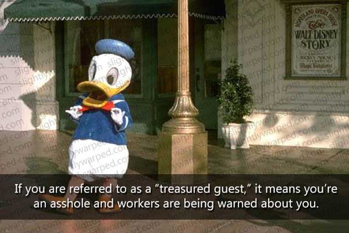 50 Things You Didn't Know About Disney Theme Parks (50 pics)