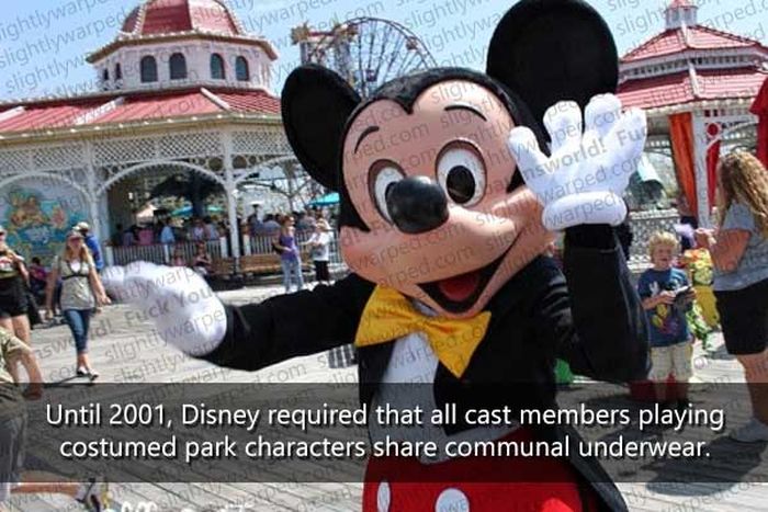 50 Things You Didn't Know About Disney Theme Parks (50 pics)