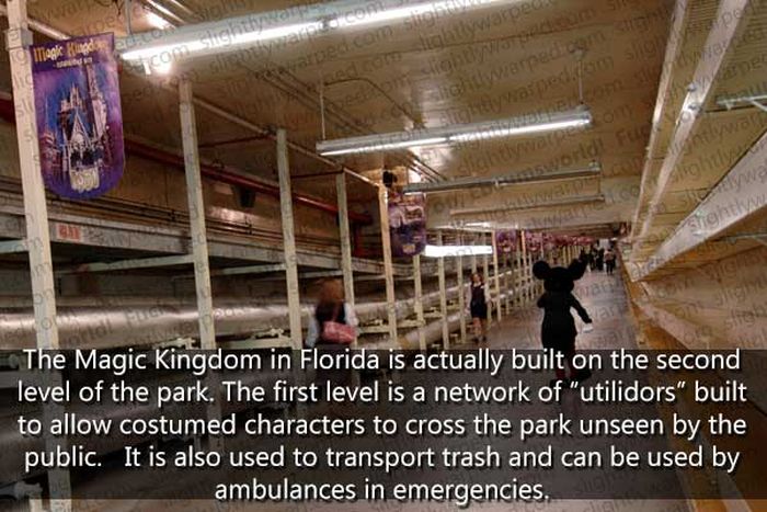 50 Things You Didn't Know About Disney Theme Parks (50 pics)