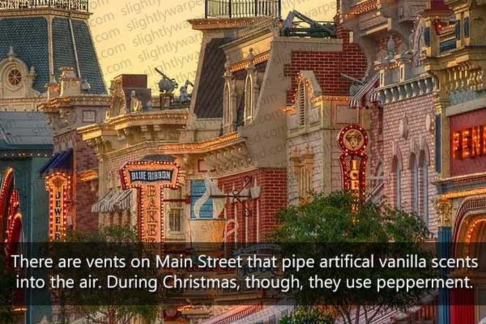 50 Things You Didn't Know About Disney Theme Parks (50 pics)
