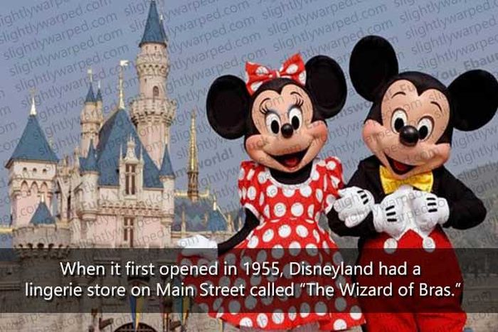 50 Things You Didn't Know About Disney Theme Parks (50 pics)