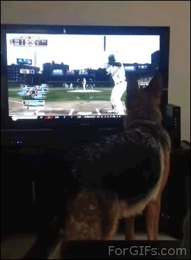 That Almost Ended Very Badly (28 gifs)