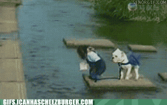 That Almost Ended Very Badly (28 gifs)