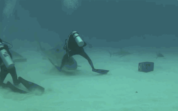 That Almost Ended Very Badly (28 gifs)